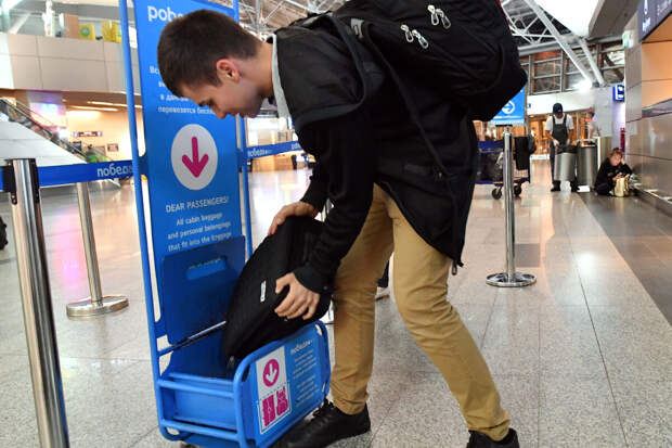 Депутат Школкина: размер ручной клади должен быть единым для всех авиакомпаний