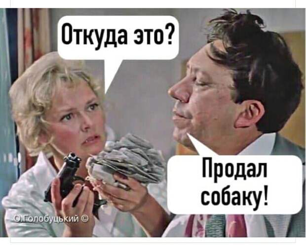 Знакомые переехали в частный дом со своим котом Петровичем...
