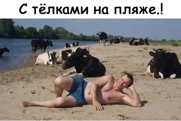 Злая... Не с той ноги встала... Не на ту метлу села... еще и лечу не в ту сторону! Злая... Не с той ноги встала... Не на ту метлу села... еще и лечу не в ту сторону! Вчера, почему, советы, ночью, спрашивает, Откуда, ваннойВызвала, примеру, стакан, водички, попить, почемуто, бутерброд, колбасойСломался, дверьОткрылаСтоит, слесаряЗвонок, очертания, спецухе, чемоданчиком, положено