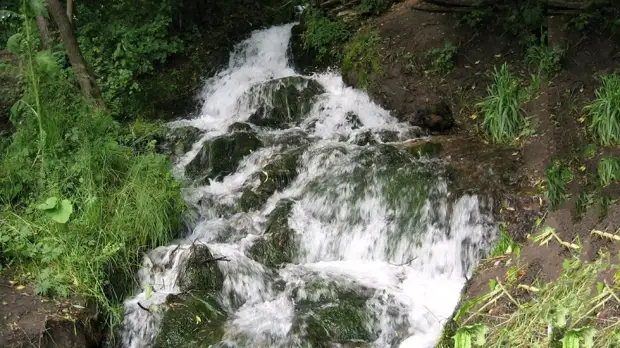 Народные приметы и поверья на 22 апреля 2022 года