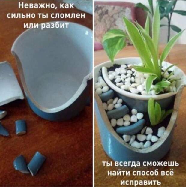 прикольные картинки ржачные (18)