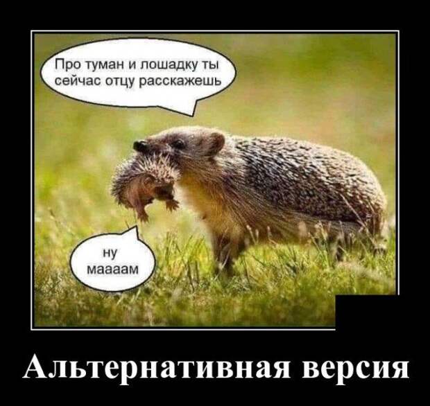 Демотиватор про альтернативу