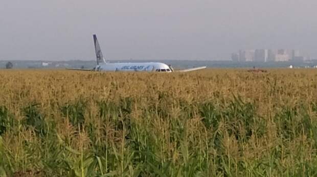 Экипаж самолета «Уральских авиалиний» посадил воздушную машину в поле около деревни Рыбаки