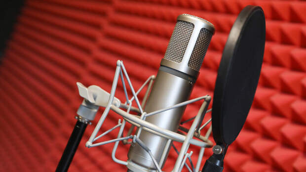 Спор за права на песню "Сидим с бобром за столом" закончился мировым соглашением