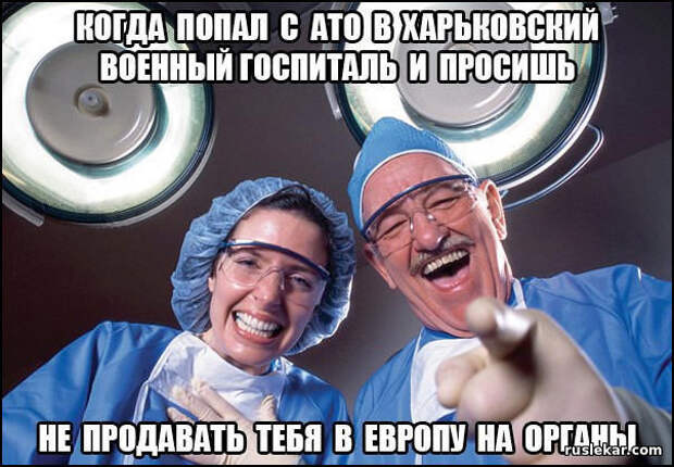 NA-ORGANY.jpg