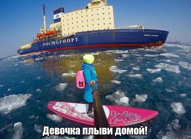 Подборка картинок Подборка картинок