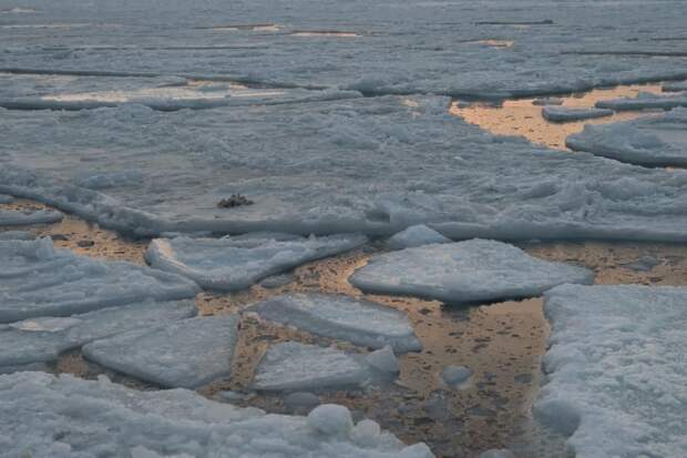 Выход на лёд в заливах Приморья остаётся рискованным
