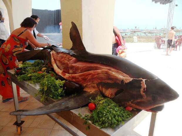 2. Вместо форели и других местных рыб подается акулье мясо еда, кухня, обман, отели, туризм