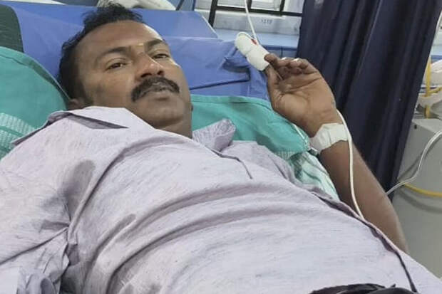 В Индии змея упала со шкафа и укусила мужчину