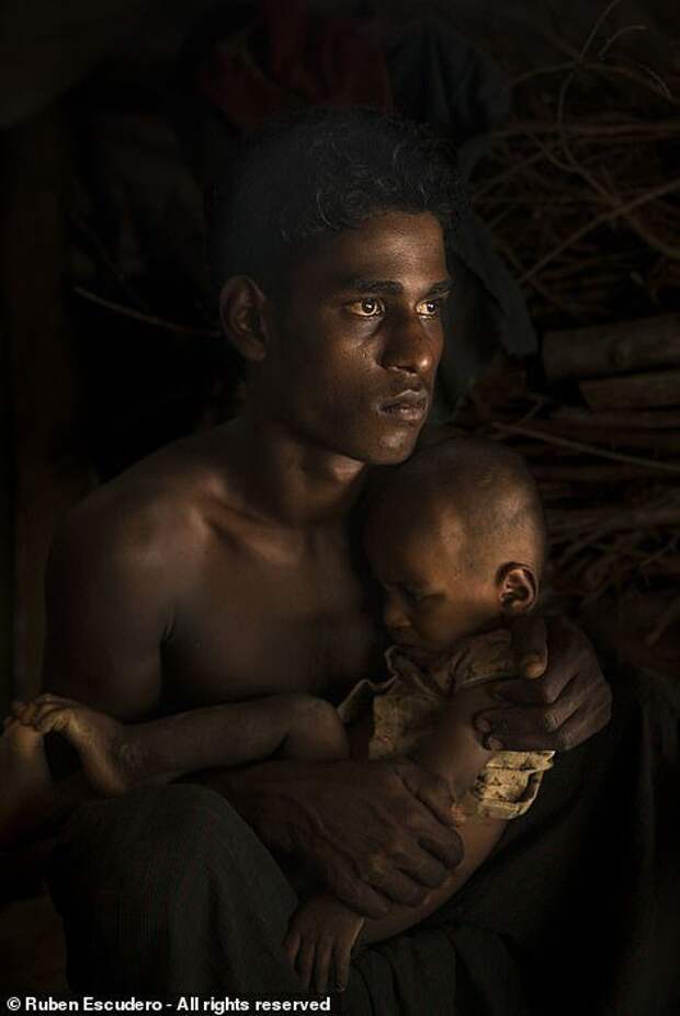 Претенденты на победу в Smithsonian Photo Contest 2018
