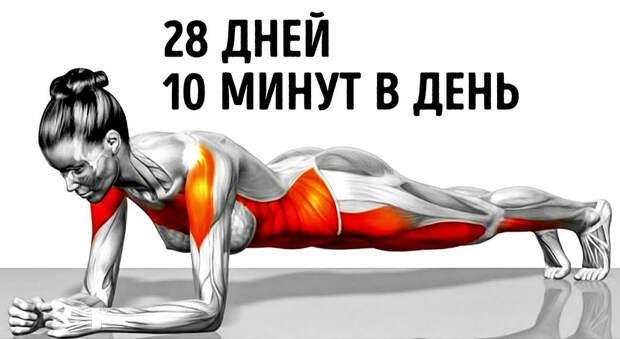7 простых упражнений, которые помогут вам изменить свое тело в короткие сроки