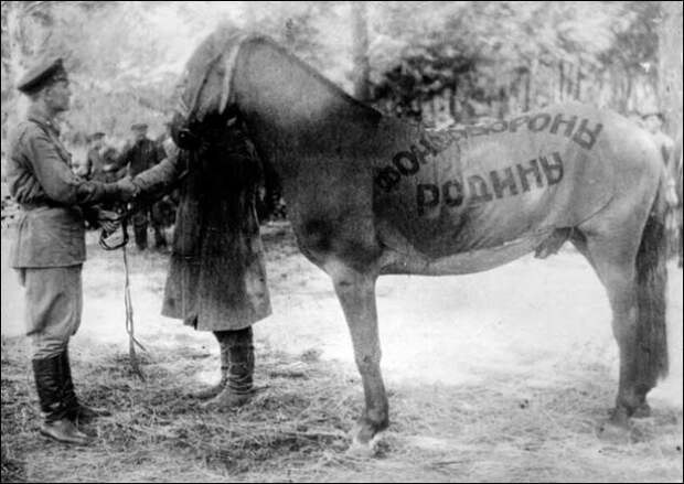 vojna-altajskij-kraj-19411945-07