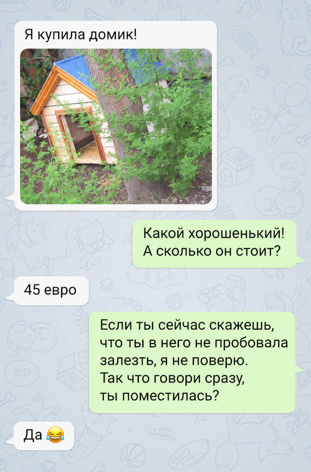 История о том, как я стала хозяйкой слепого пса из приюта