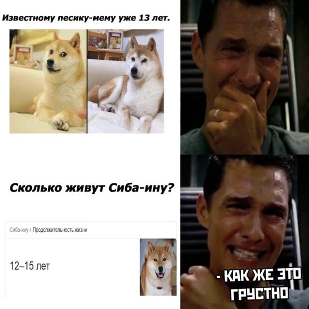 www.vsyako.net