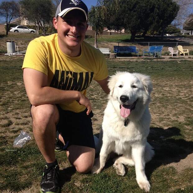 Great Pyrenees | It's Dog or Nothing