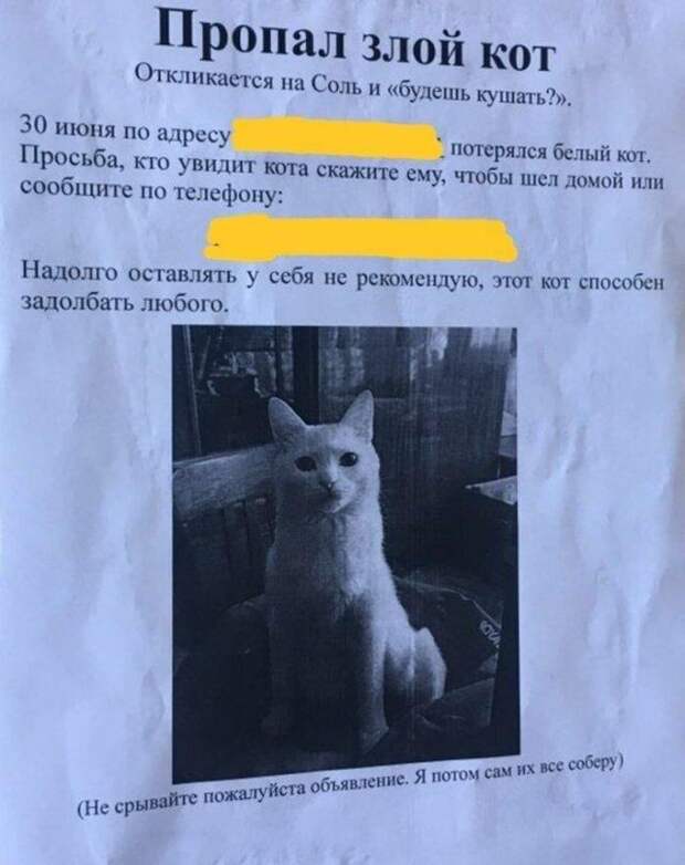 www.vsyako.net