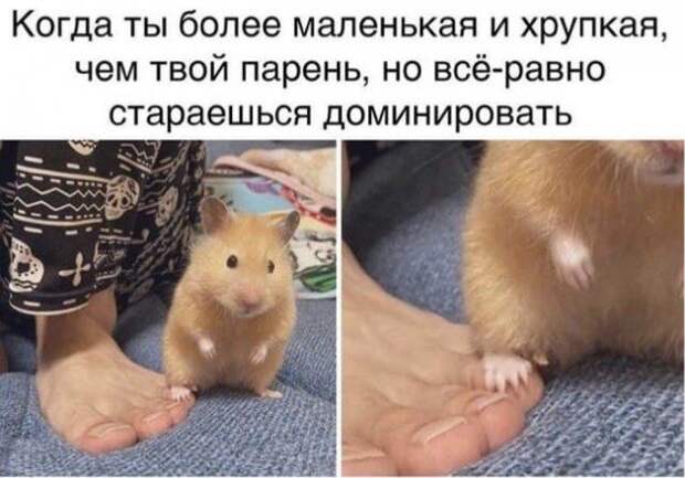 206386_15_trinixy_ru.jpg