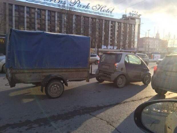 Самые разнообразные прелести дачного сезона! Самые разнообразные прелести дачного сезона!