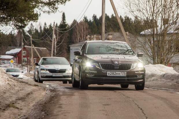 Белорусам запретили покупать автомобили Skoda, но не все