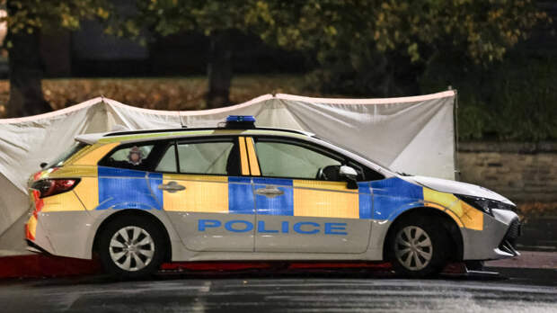 Увольнение за обман: сотрудница полиции делала вид, что раскрывает преступления