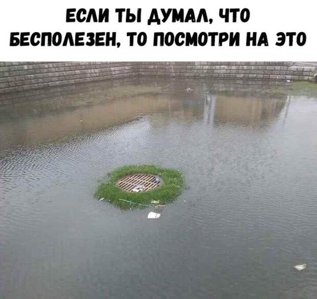 Подборка картинок. Вечерний выпуск (27 фото)
