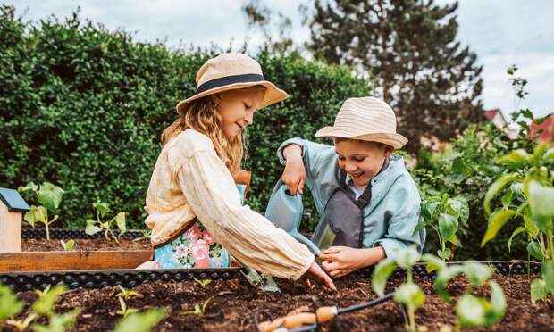 Какой будет погода на майские праздники 2026 по регионам