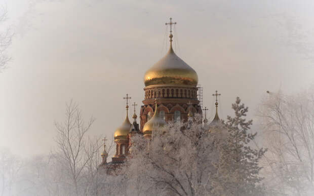 Какой церковный праздник сегодня, 29 декабря 2024 года, отмечают православные христиане