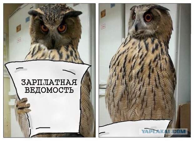 Немного юмора