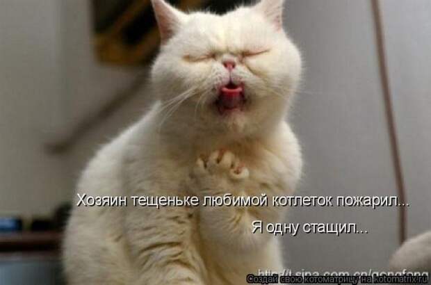 Мысли вслух :)