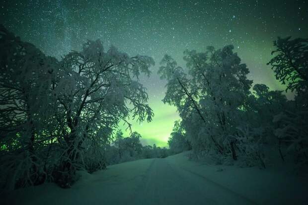 northern-lights-photography-finland-28-584e5d239f489__880