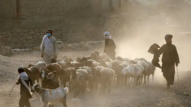 «Россия нужна Афганистану»: посол РФ в Кабуле — о мирном урегулировании и просчётах миссии США