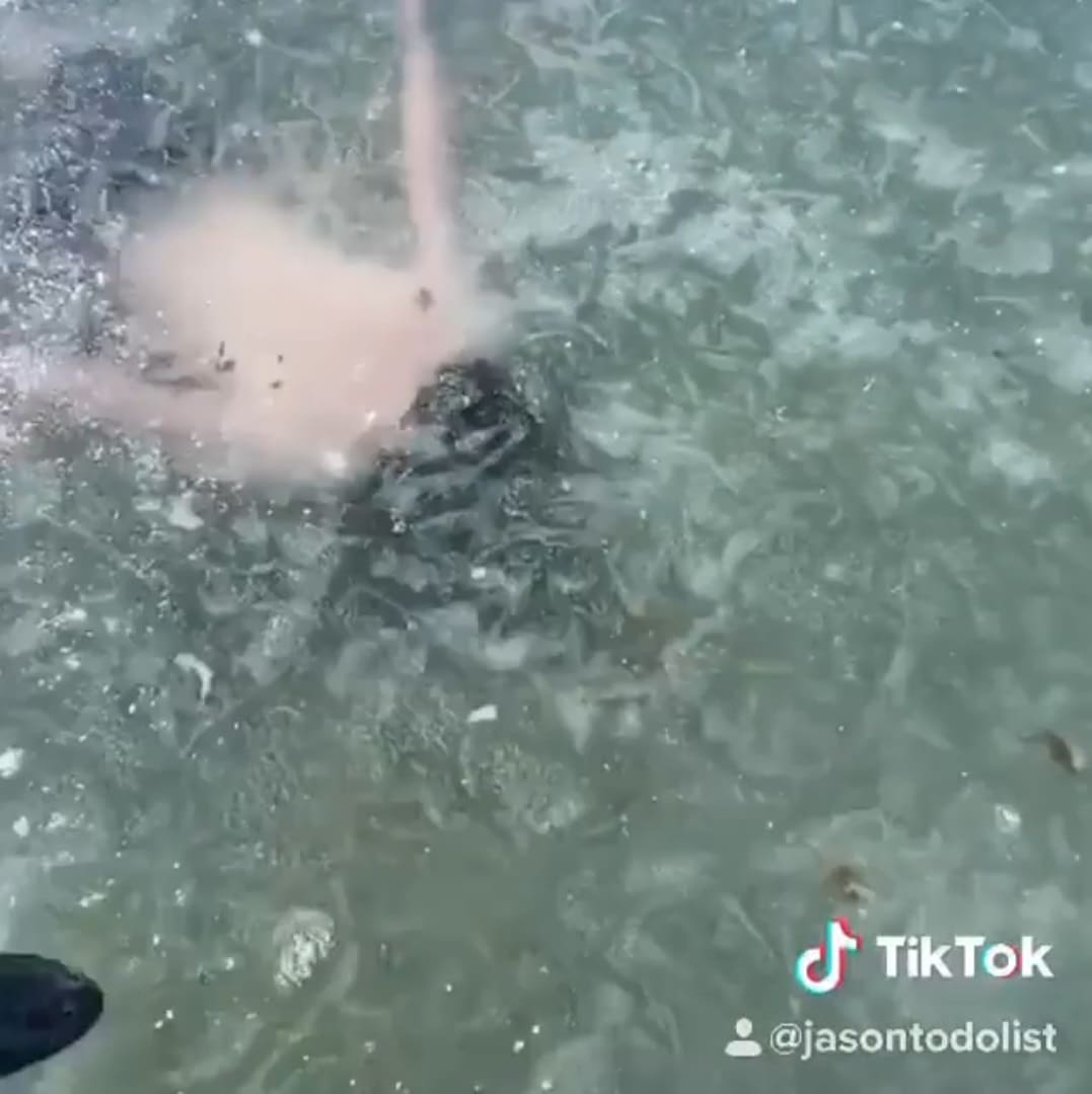Блогер ради эпичного видео нырнул под лёд и потерял прорубь. Концовка ролика заставит вас испытать облегчение