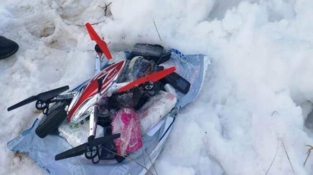 Десятки мобильников не долетели до тульской колонии на беспилотнике