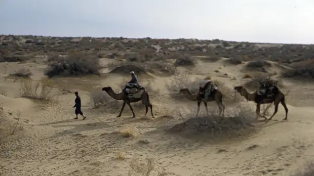 В песках Туркестана: тест RT о российском присутствии в Средней Азии