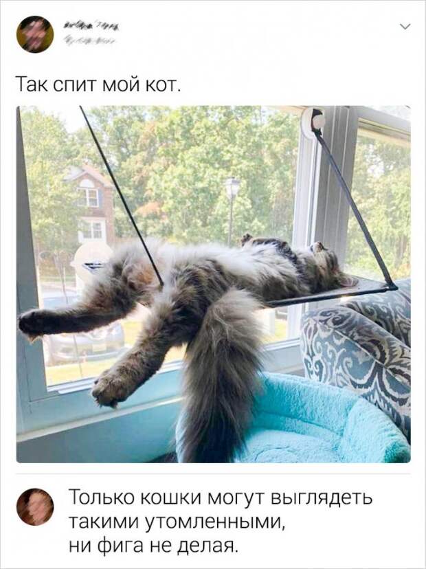 www.vsyako.net