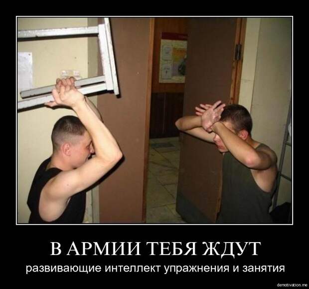 http://s2.uploads.ru/Tiro5.jpg