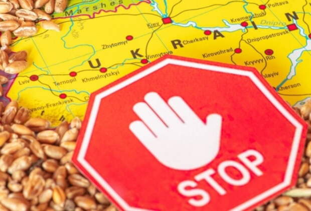 На Украине начались колоссальные проблемы с экспортом сельскохозяйственной продукции. Об этом, передает корреспондент «ПолитНавигатора»,...