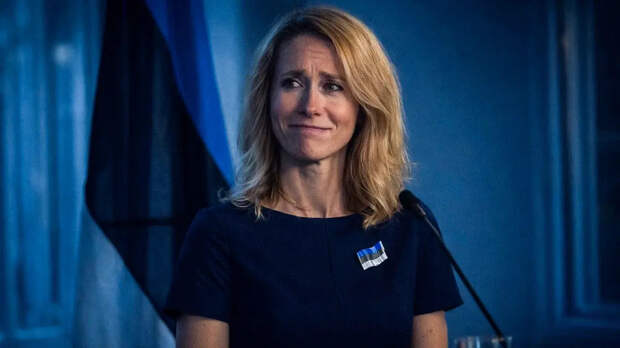 Косачев высмеял визит Каллас в Киев анекдотом про ключи под фонарем