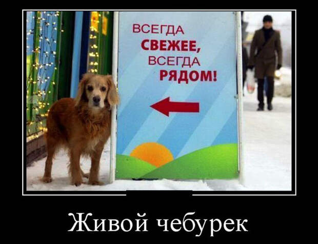 Демотиваторы (30 фото)