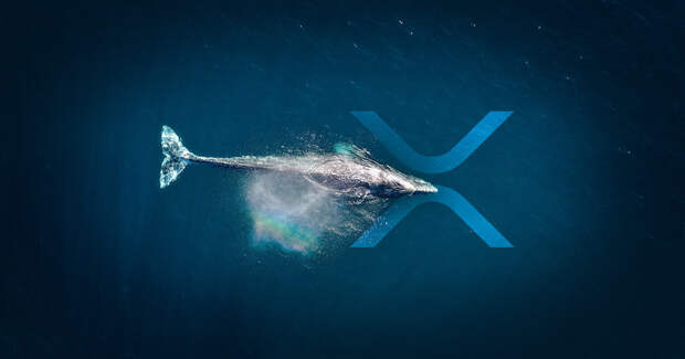xrp-whale-social.jpg xrp-whale-social.jpg