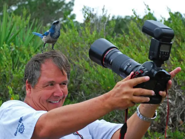 Помощники, однако