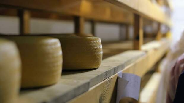 Врач объяснила, кому нельзя есть сыр с плесенью