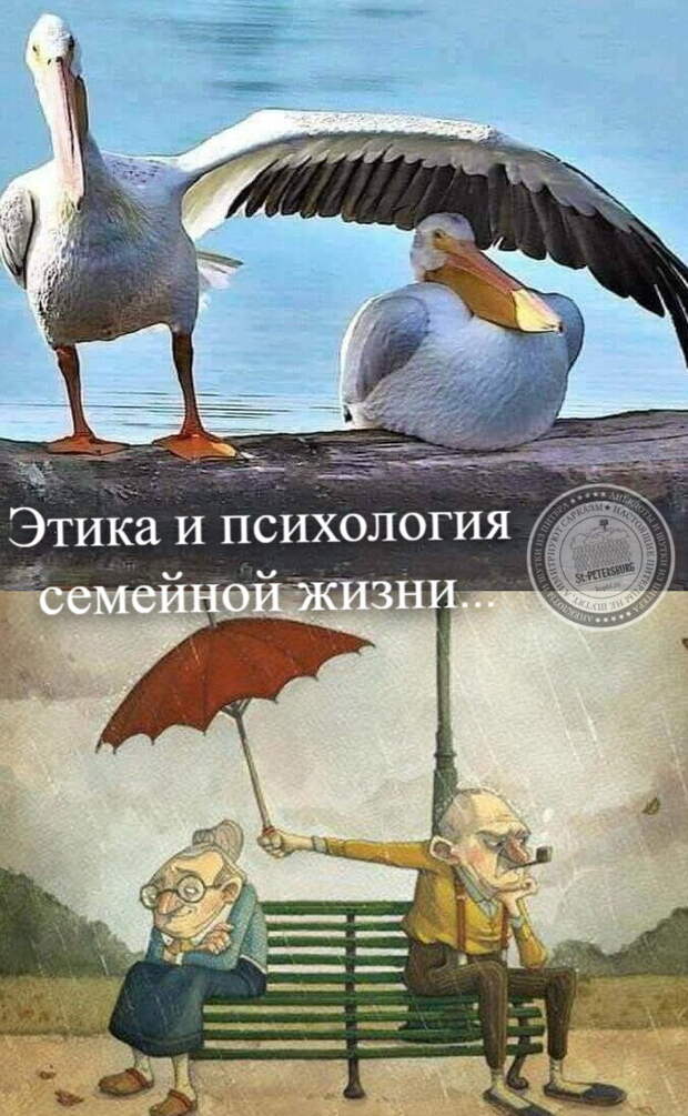 Семья