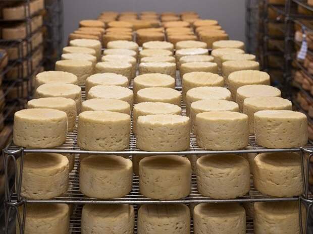 В России начали маркировать сыр и мороженое: как проверить подлинность