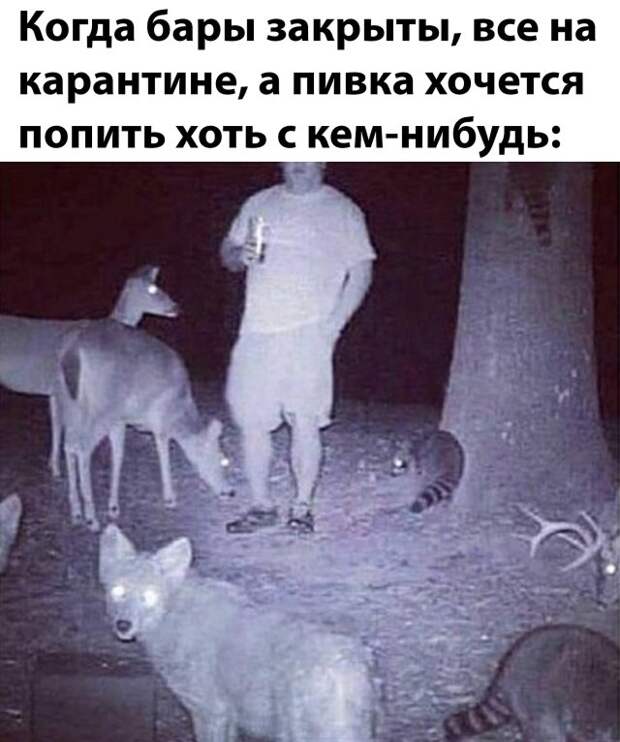 www.vsyako.net