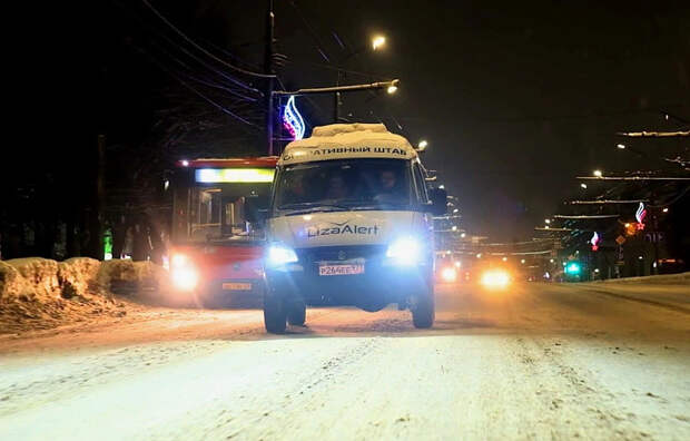 "ЛизаАлерт" Тульской области: в январе найдены живыми 34 пропавших человека