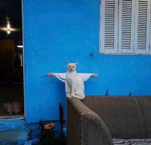 1610992030_18 (626x600, 183Kb)