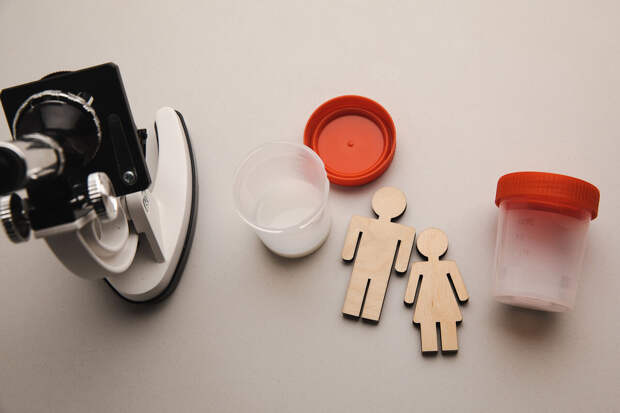 Репродуктолог Дворцов: лечение рака и травмы яичек уничтожают сперматозоиды