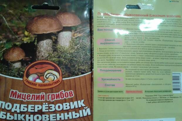 мицелий грибов: как выращивать на даче и в огороде