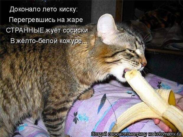 Мысли вслух :)
